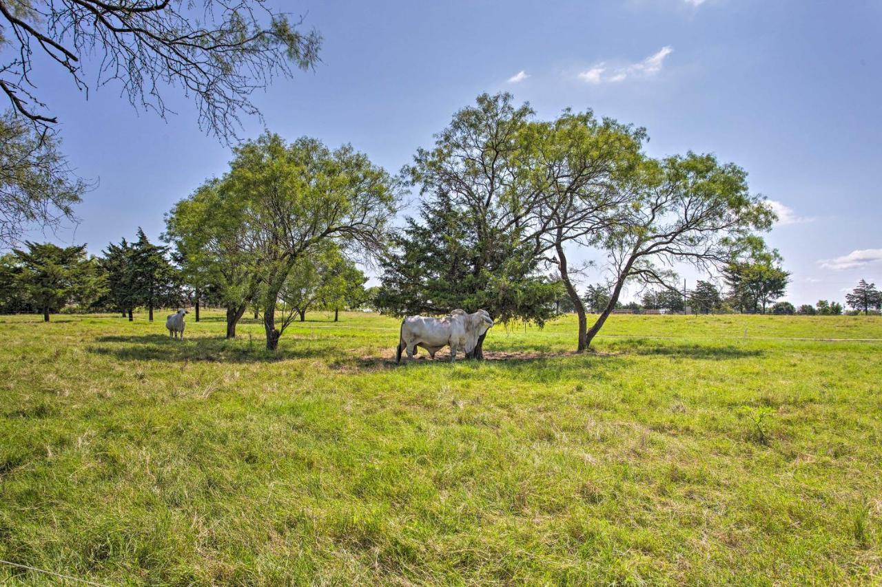 Texas Cabin On 130 Acres Walk To Lake Ray Roberts Collinsville المظهر الخارجي الصورة